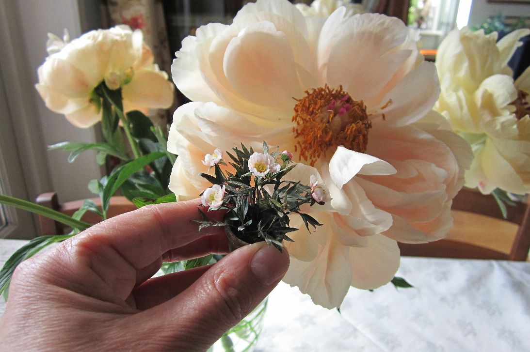 Fading flowers A Beautiful World