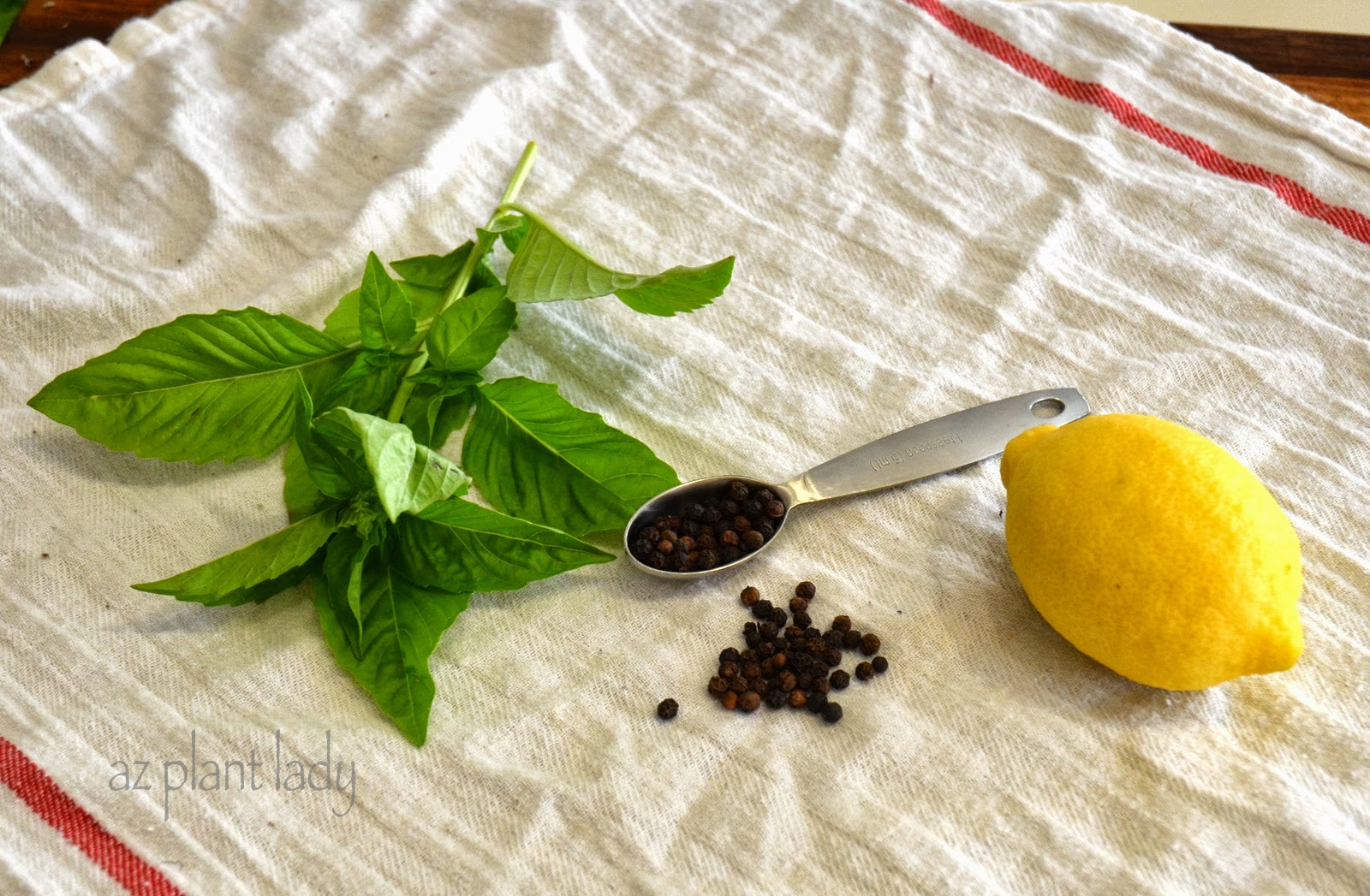 DIY Create Natural Air Fresheners From the Garden Ramblings from a