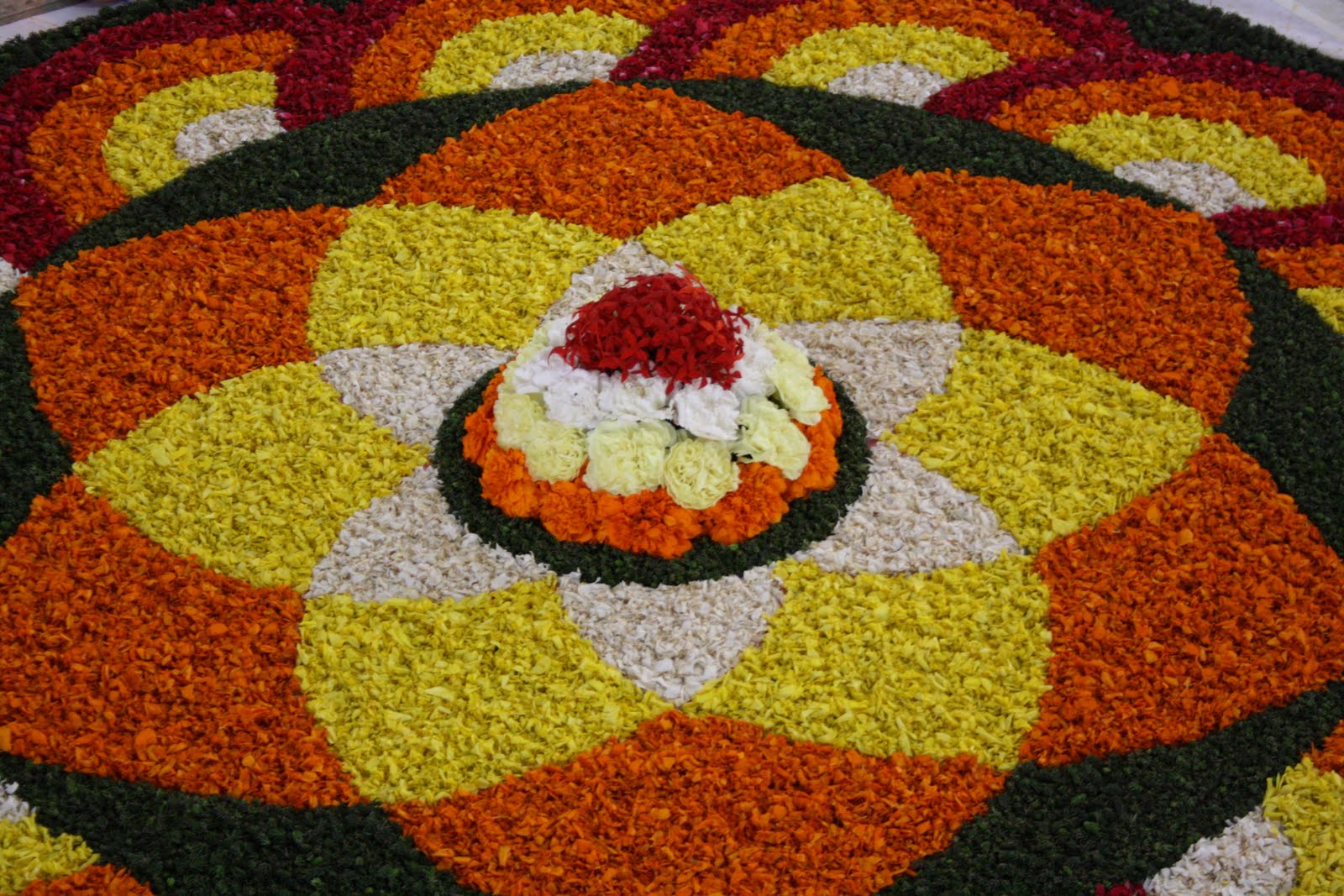 Shutter Treat. Attappokkalam (Flower Carpet)