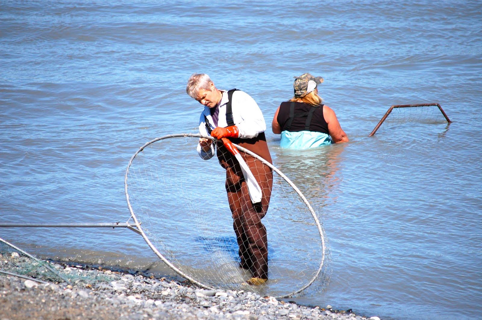 Dog, Dog, Moose Another First...Dip Net Fishing