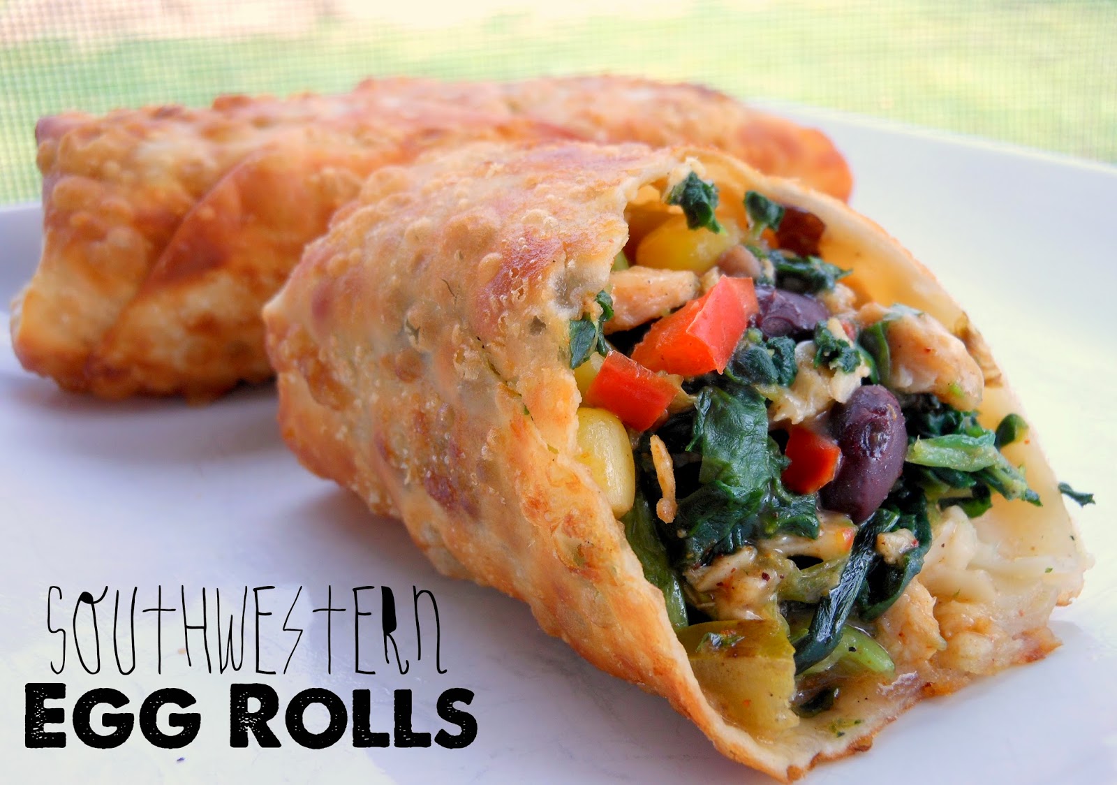 Sunny Days With My Loves Adventures in Homemaking Southwestern Egg Rolls