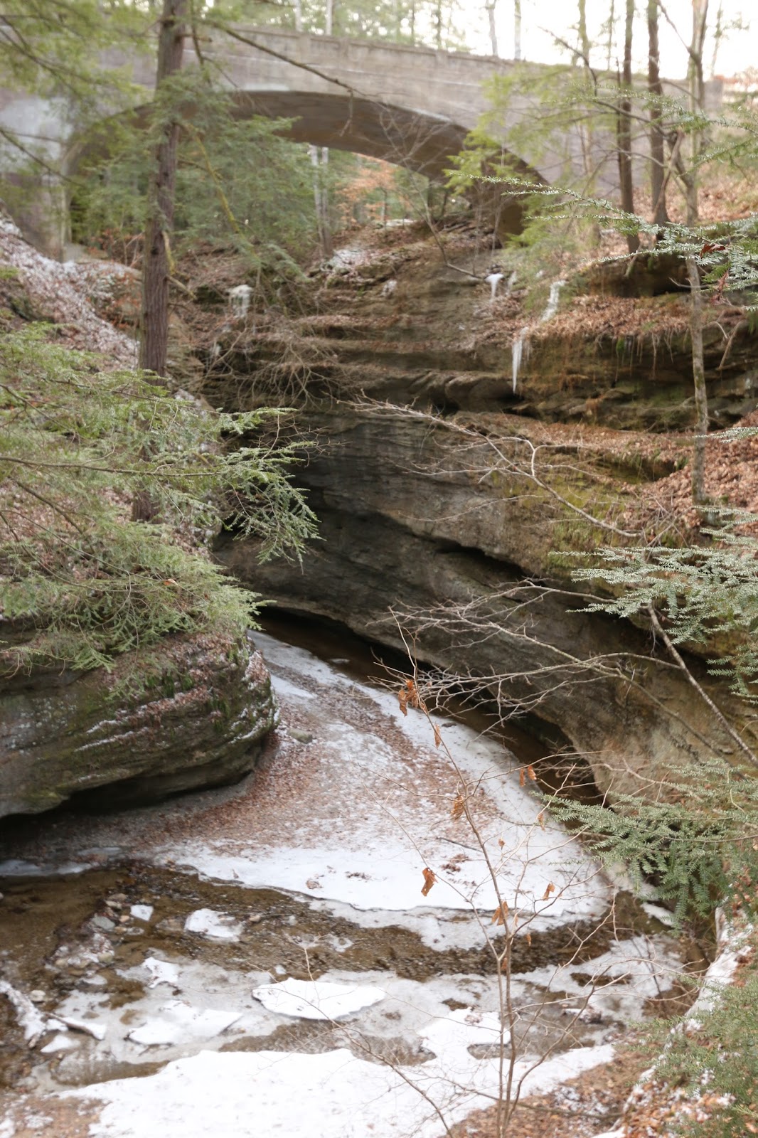 Nomadic Newfies Turkey Run State Park on Ice
