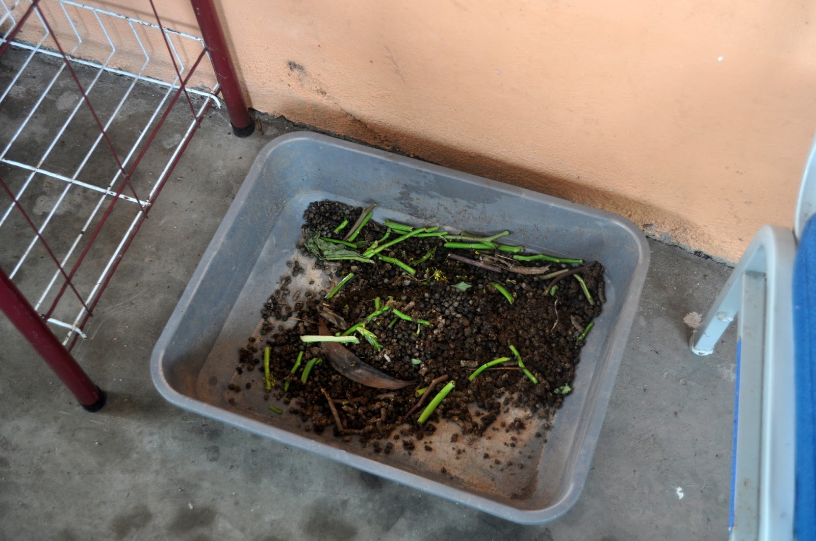 Forskning BETA DIY Bokashi composting (altered method).