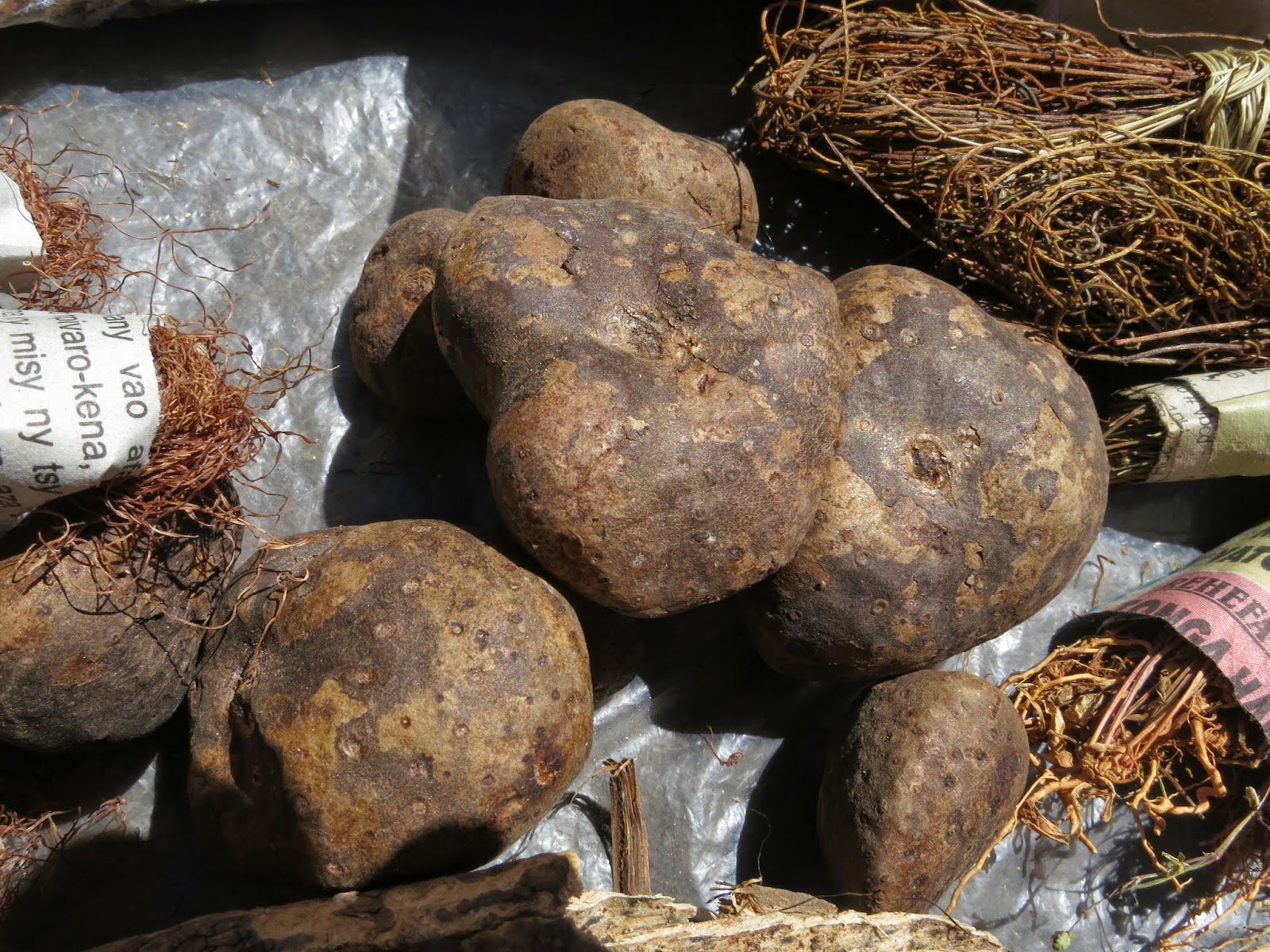 Travels, Experiences, Life A Taste for Medicinal Plants of Madagascar