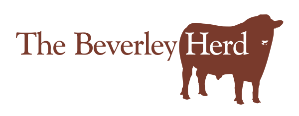 The Beverley herd of Lincoln Red Cattle