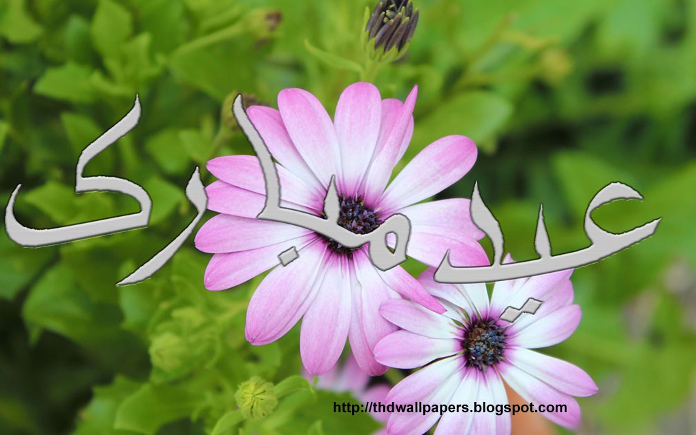 EidulAdha Zuha Mubarak 2012 Flowers Greeting Cards in Urdu 004