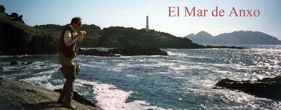 El mar de Anxo