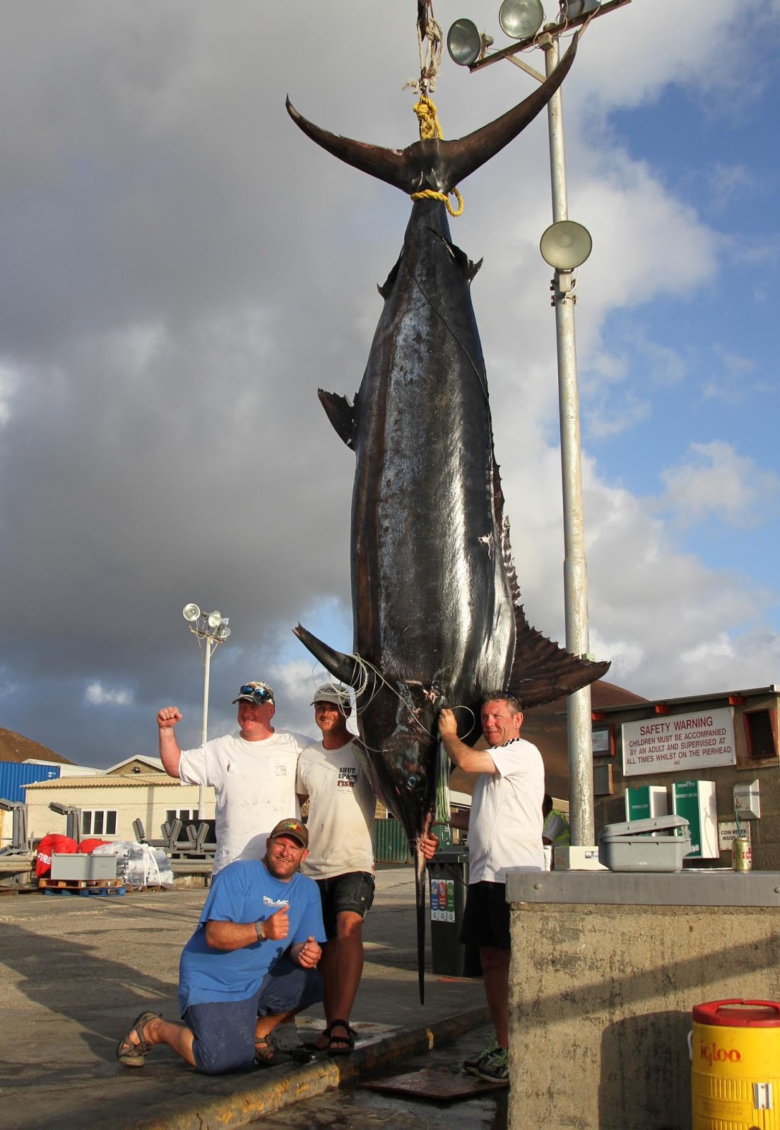 Mondo Pesca News Ascension Island Gigantesco Marlin Blu Da 1320