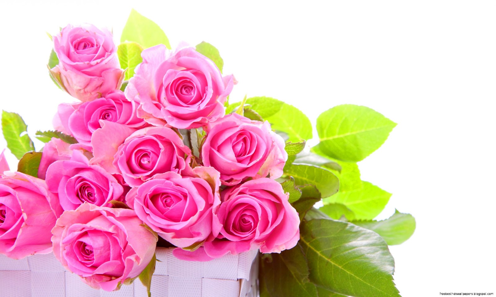 Pink Rose Bouquet Pink Rose Bouquet