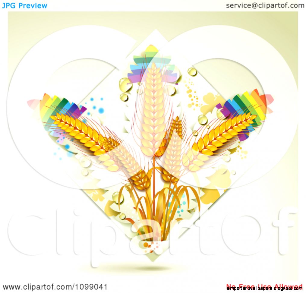 Clipart Whole Grain Wheat In A Diamond Of Dew And Rainbows Clipart Whole Grain Wheat In A Diamond Of Dew And Rainbows