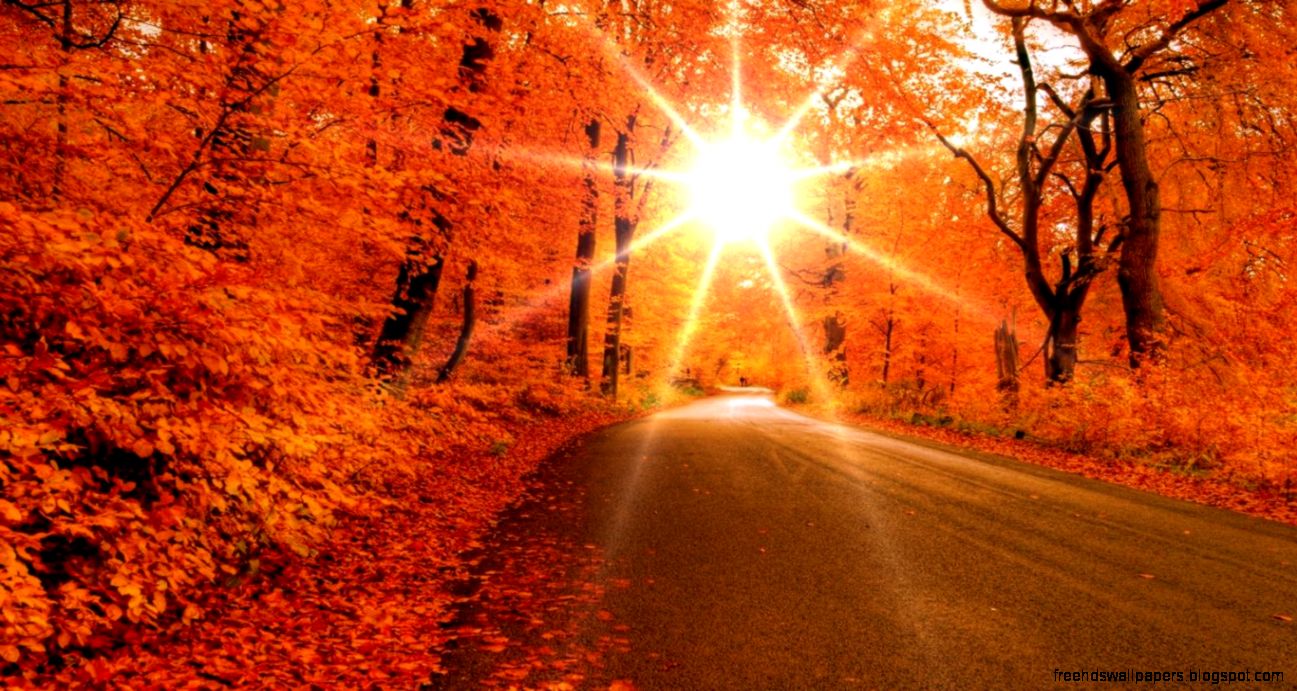 Autumn Screensavers Free Wallpapers Autumn Screensavers Free Wallpapers