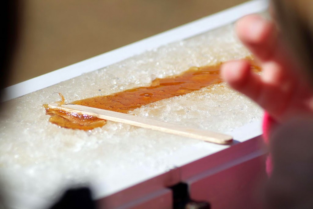 Marie's Pastiche Our French Canadian Roots Maple Syrup Recipes la