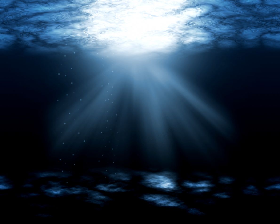 Ocean Floor Wallpaper Top Images Ocean Floor Wallpaper Top Images