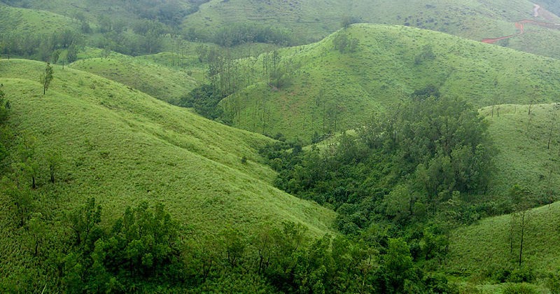 MAGIC PLANET 2014 - A Magic Summit You Can