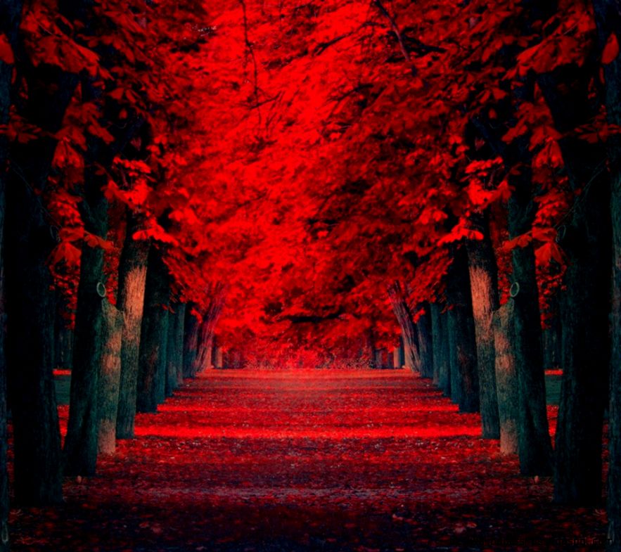 Android Mobile Wallpaper HD Wallpapers Backgrounds of Your Choice Android Mobile Wallpaper HD Wallpapers Backgrounds of Your Choice