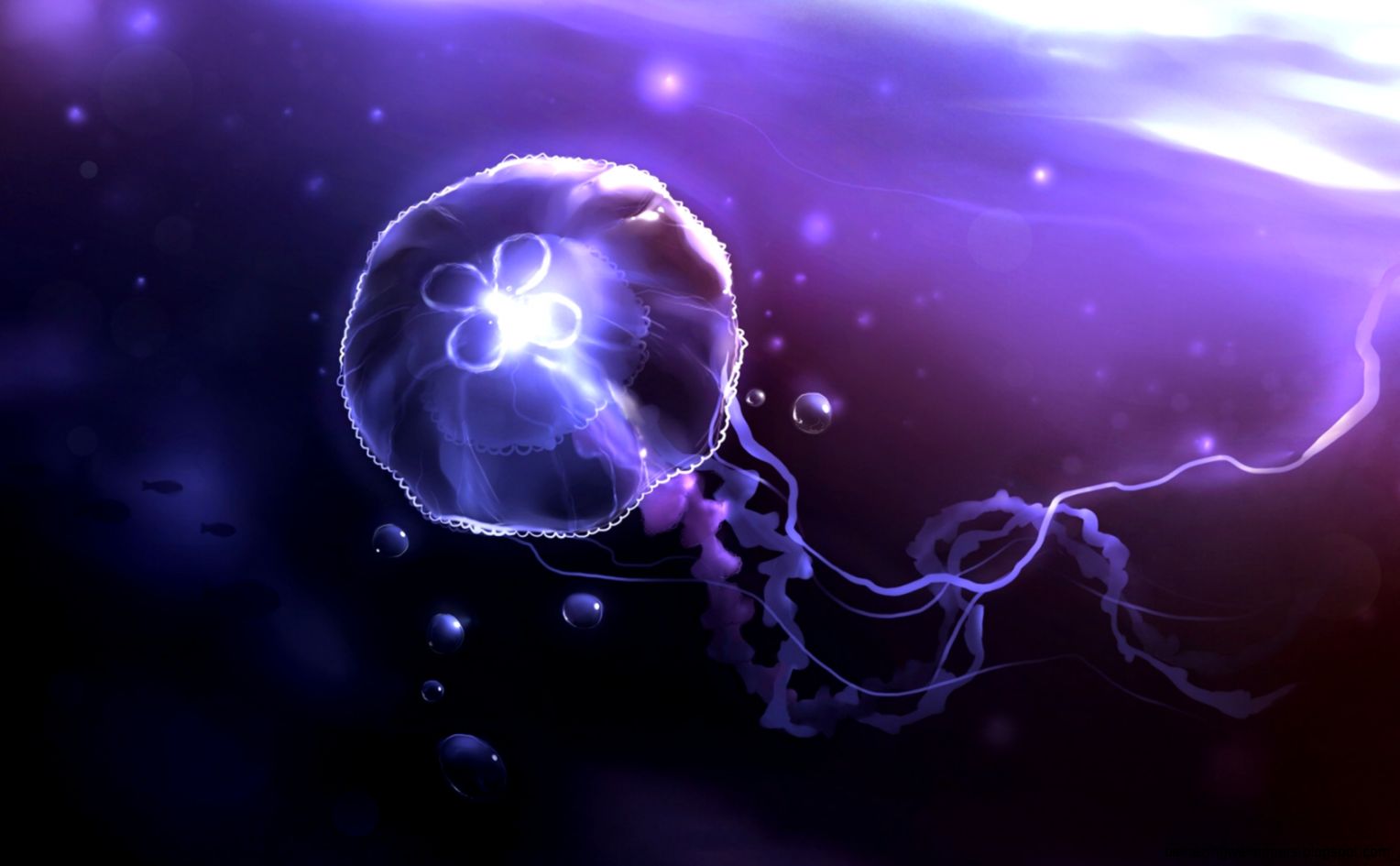 Purple Jellyfish Wallpaper 6895677 Purple Jellyfish Wallpaper 6895677