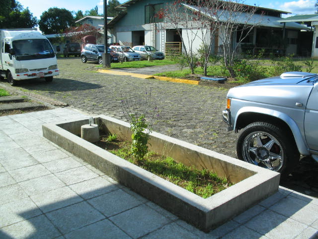 MANTENIMIENTO Y DISEÑO DE JARDINES: Decoracion de jardineras