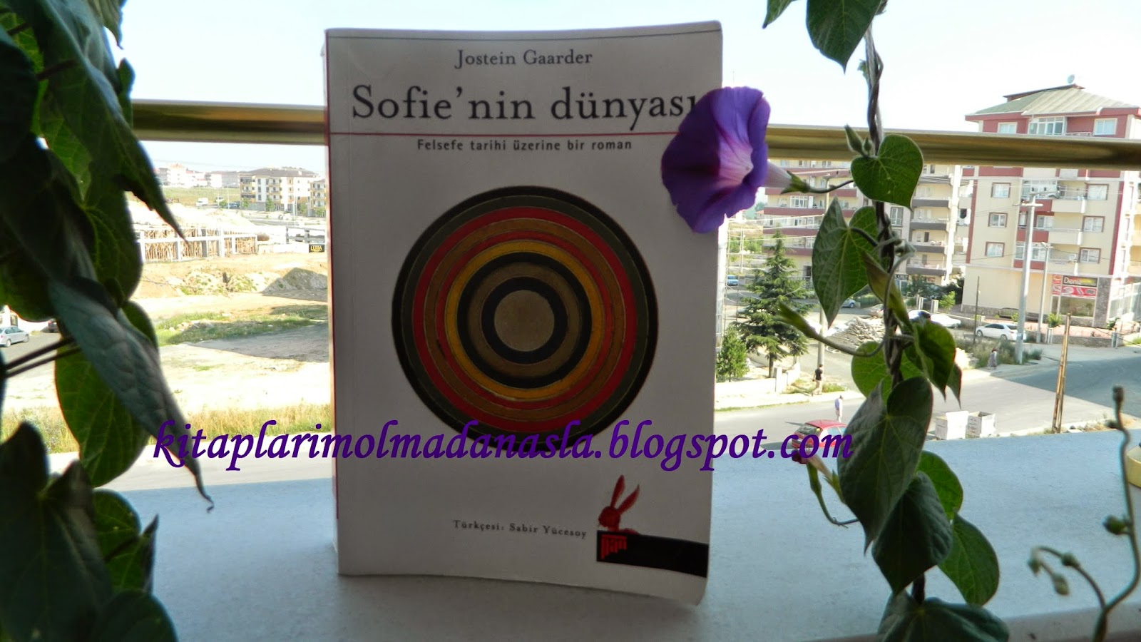 Sofie Nin Dunyasi Nezih