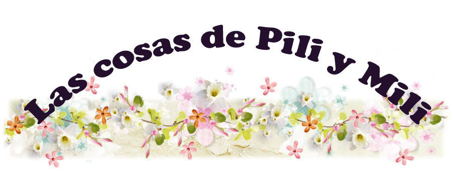 Las cosas de Pili y Mili