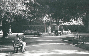 Victoria Park in the mid 1960's