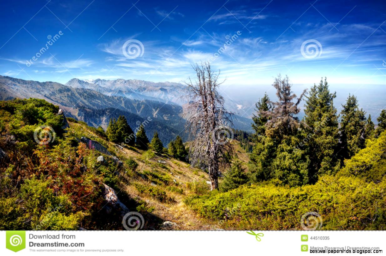 Mountain Valley Stock Photo Image 44510335 Mountain Valley Stock Photo Image 44510335