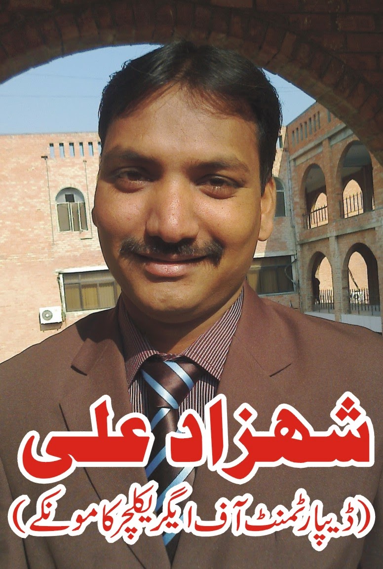 Shahzad Ali