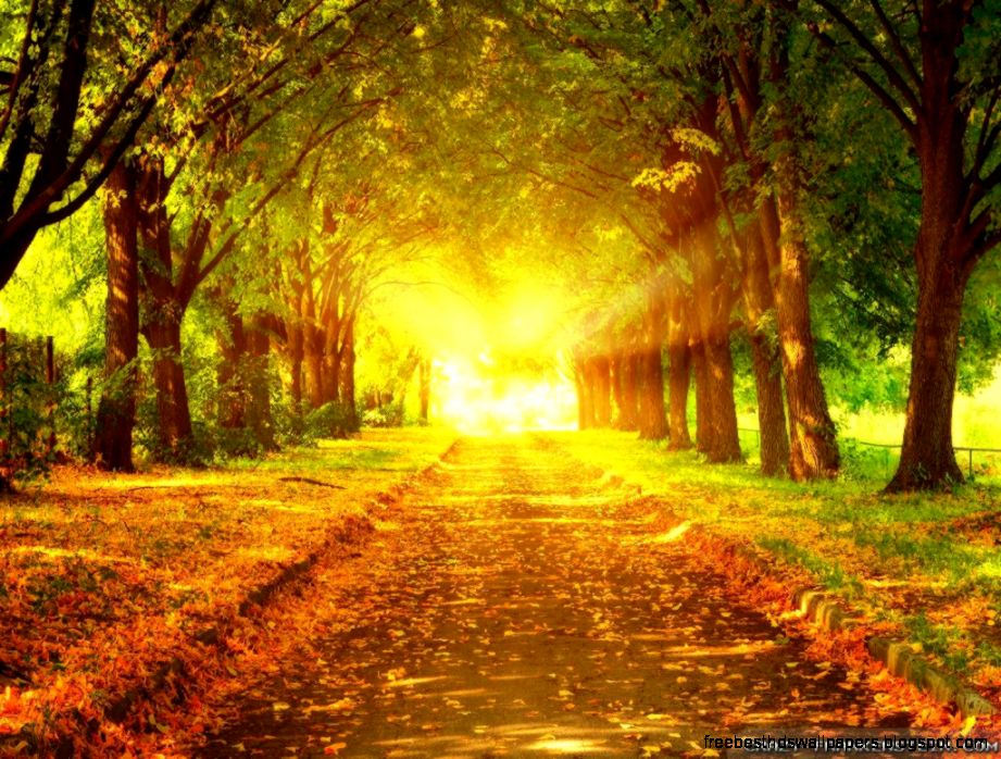 autumn scenes wallpaper free Image Search autumn scenes wallpaper free Image Search