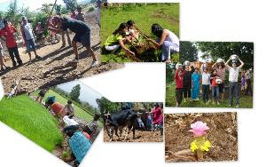 Eco Village Programme