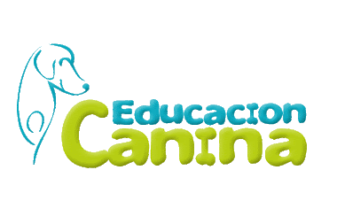 Educacion Canina