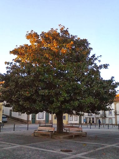 Algumas fotos de Vila Nova de Cerveira