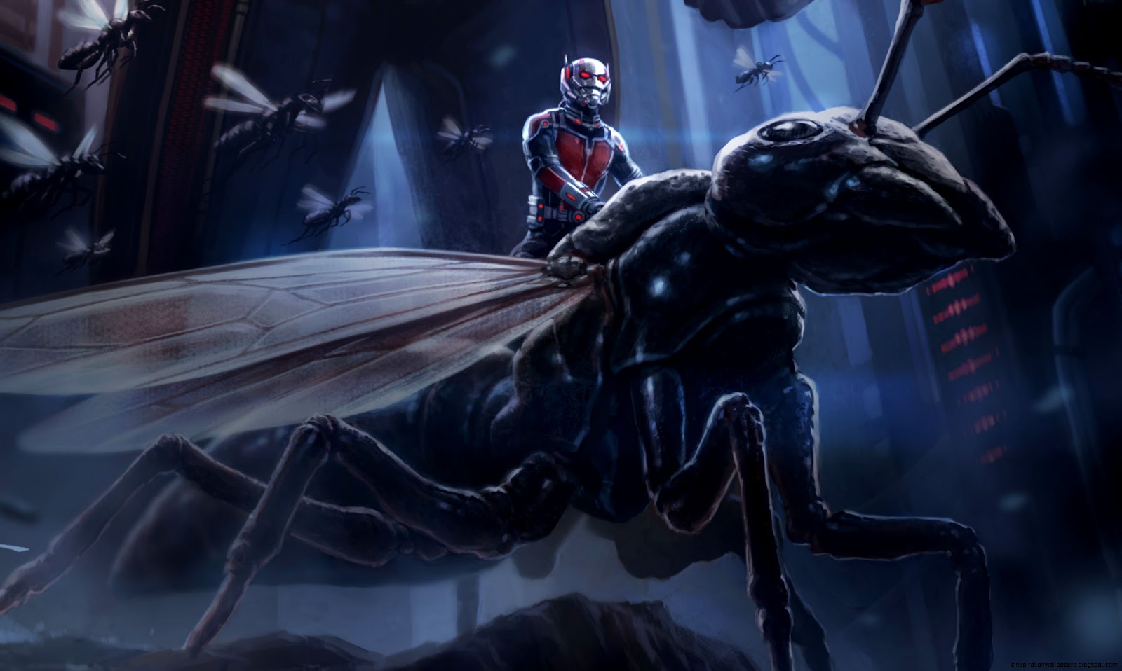 Ant Man Wallpaper 1920X1080 Ant Man Wallpaper 1920X1080