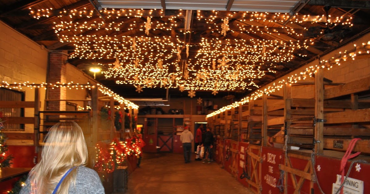 Best Christmas Cities Downtown Charleston during Christmas