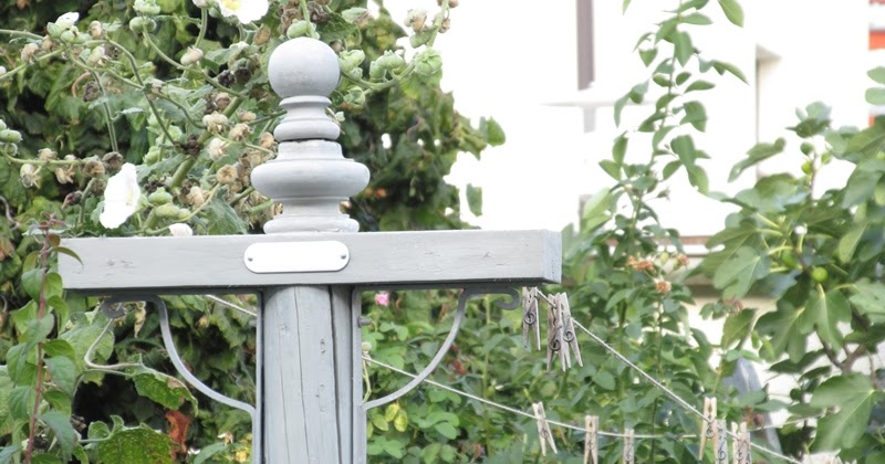 Waldstrumpf: Eine neue Wäscheleine....