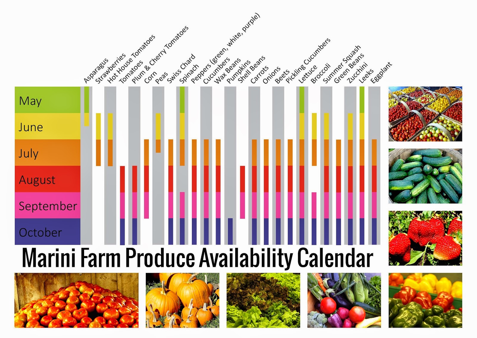 to ensure that the produce you want will be available dont hesitate to call ahead to confirm availability the vegetables are picked daily in the early