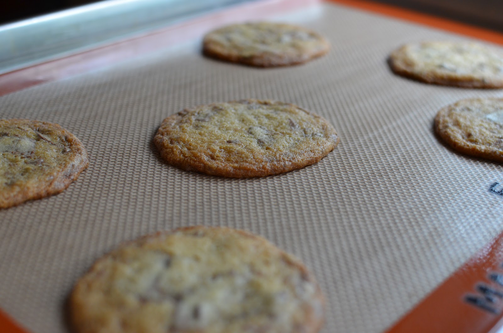 Playing with Flour Malted milk chocolate cookies (make a mighty ice
