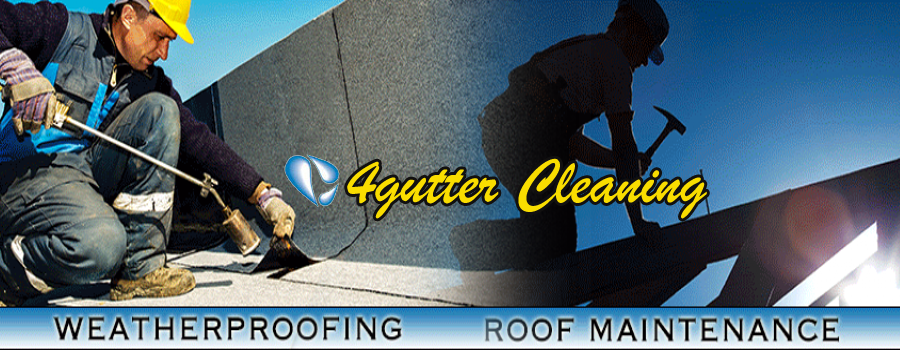 Gutter Cleaning