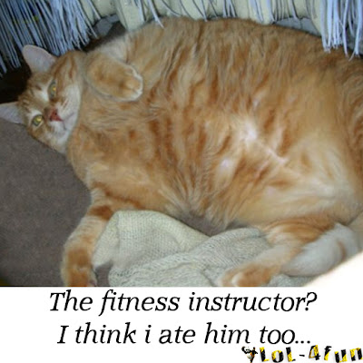 Funny cats ,the funniest fat cat ever