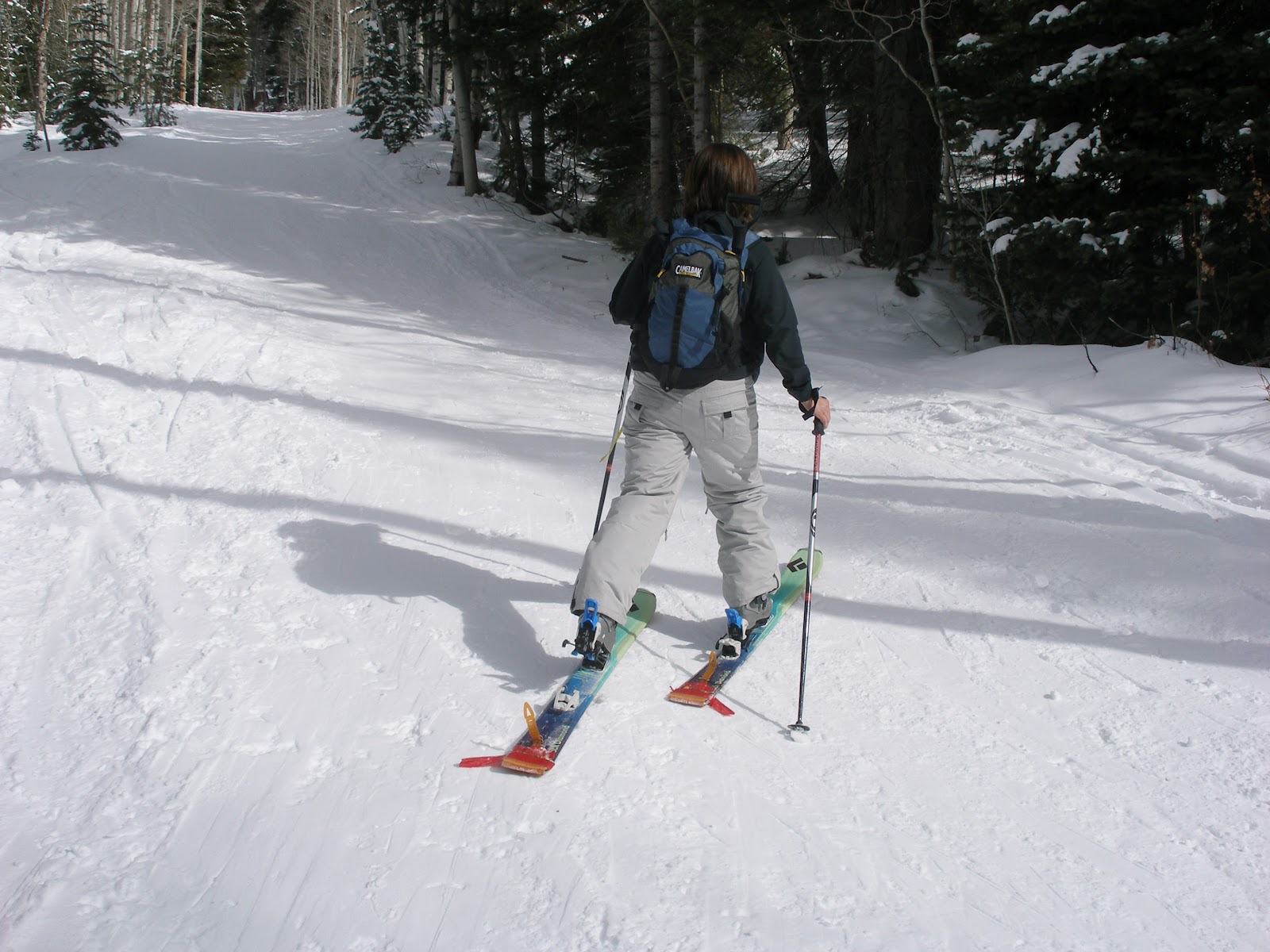 Wasatch Solo BC Skiing, Mill D North, Powder Park, February 17, 2012