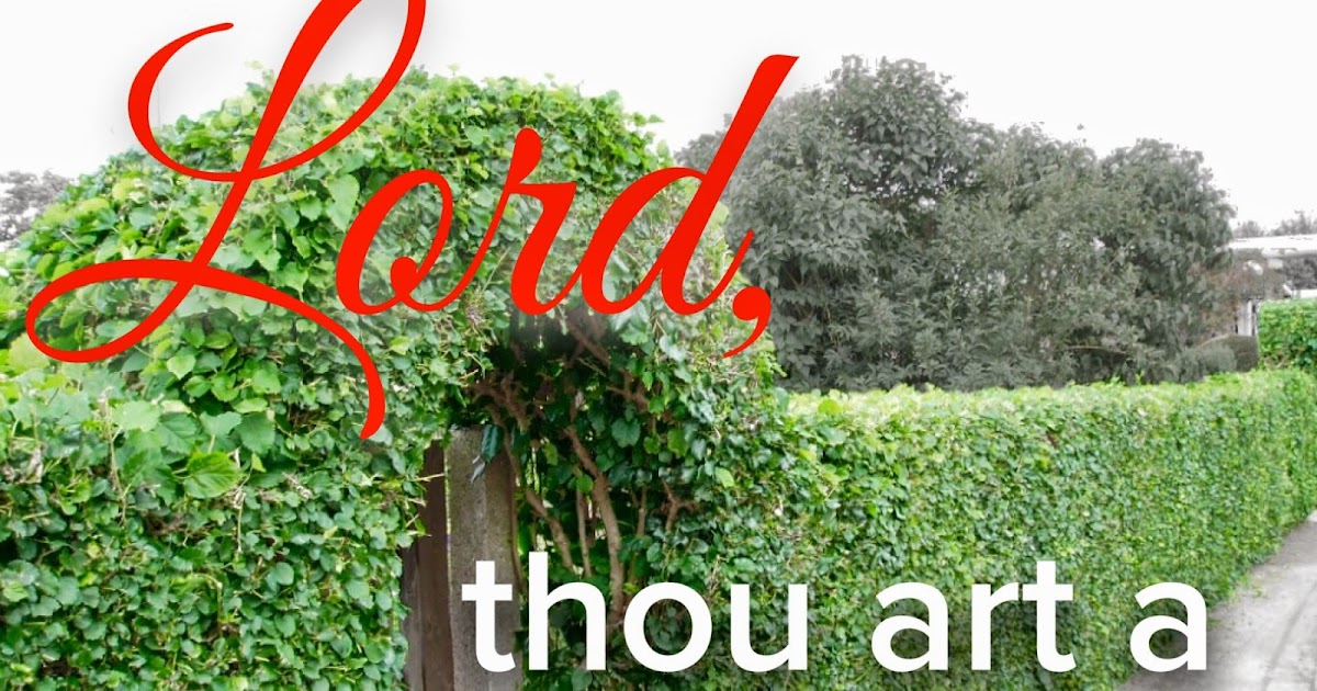 The Brick House...in pursuit of stronger lives. Praying the Hedge of