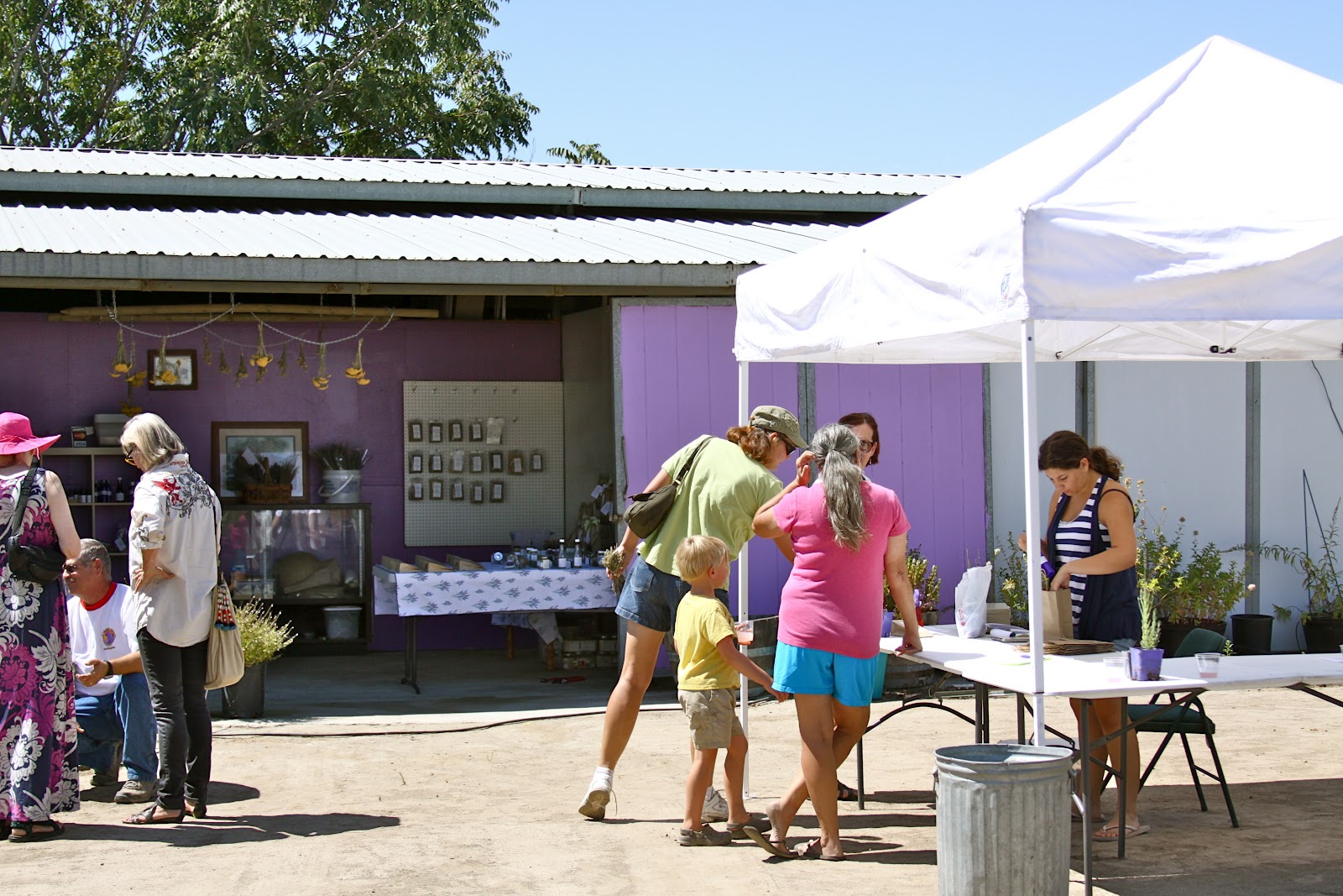 Homestead Revival Building A Local Homesteading Community How We Did It