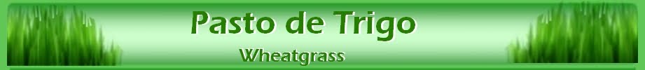 Pasto de Trigo, Wheatgrass