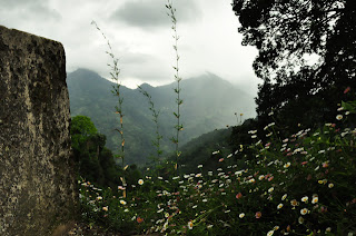 Rinchenpong - Kaluk Bazar, West Sikkim tour photo