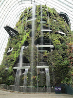 Gardens by the Bay - Cloud Forest