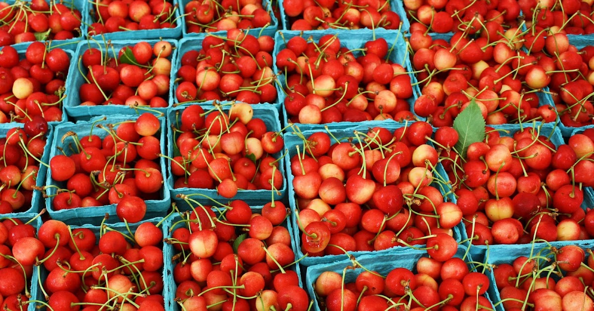 Rhinebeck Farmers' Market Cherry Season is here!