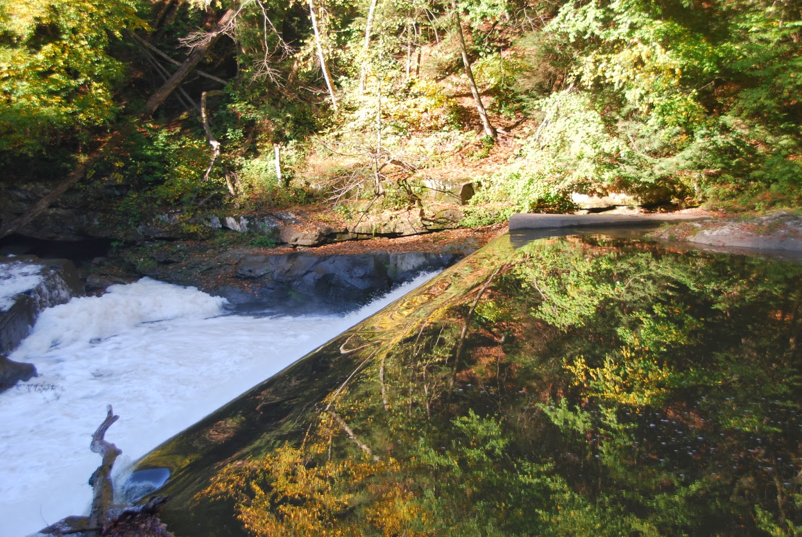 McConnells Mill State Park Fall