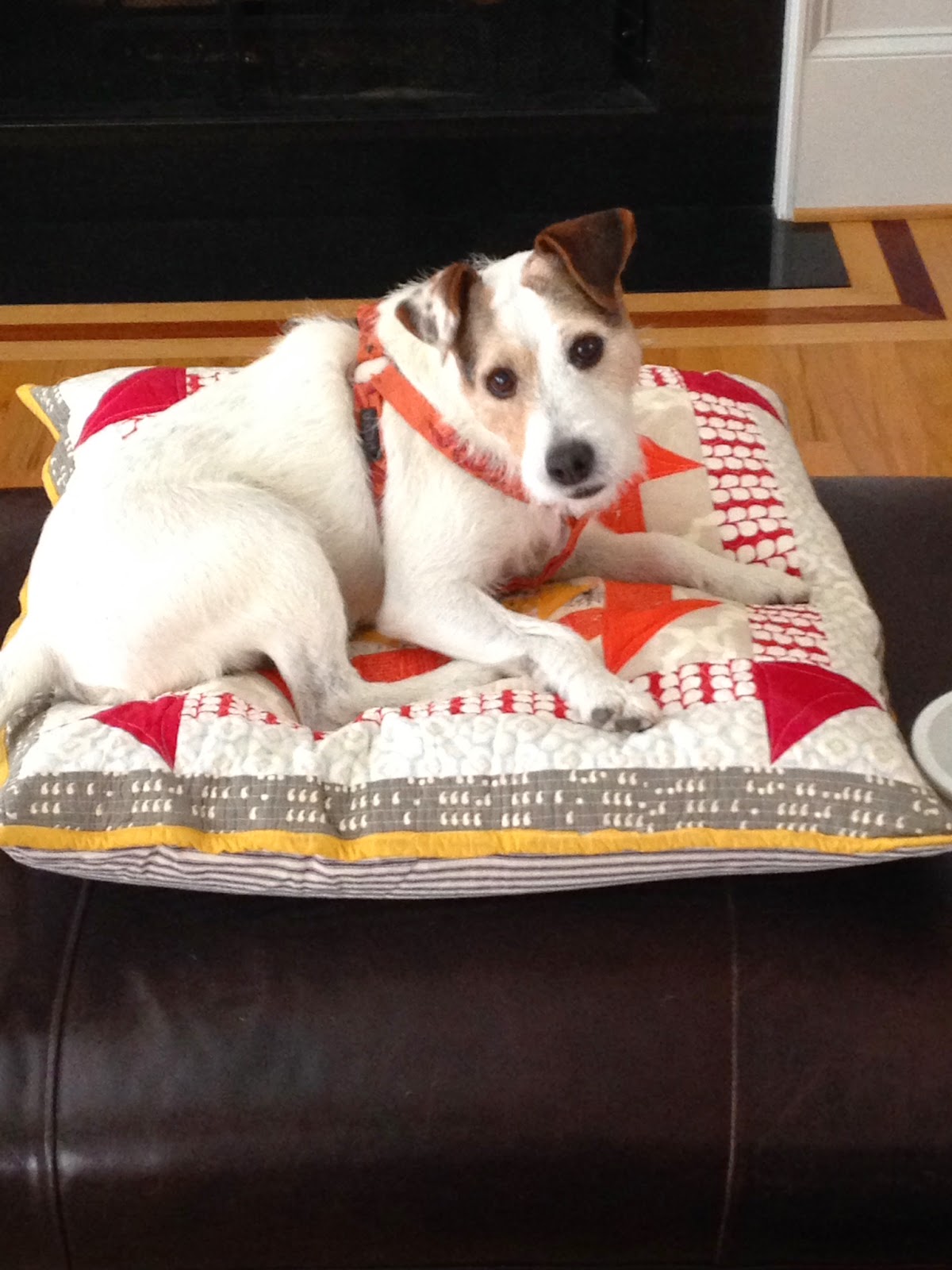 Pedal Sew Lightly MiniCooper, Dog Gone Cute & Pets On Quilts Show