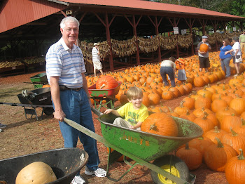 JOYful FALL, Ya'll!