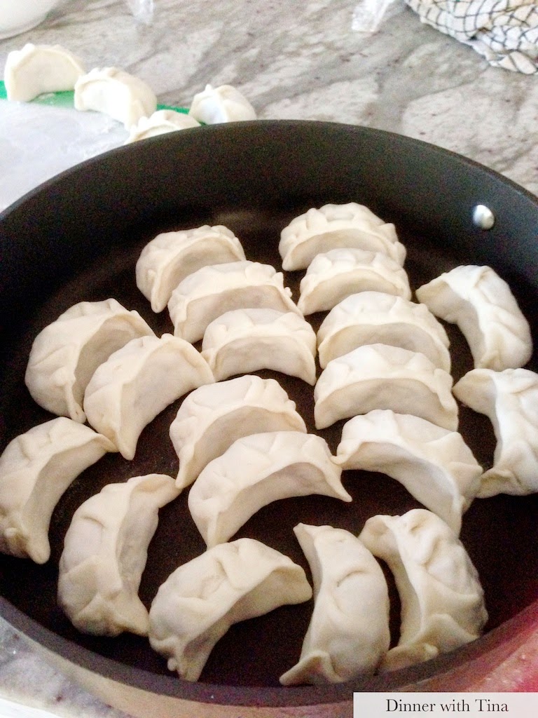 Pan fried dumplings Dinner with Tina