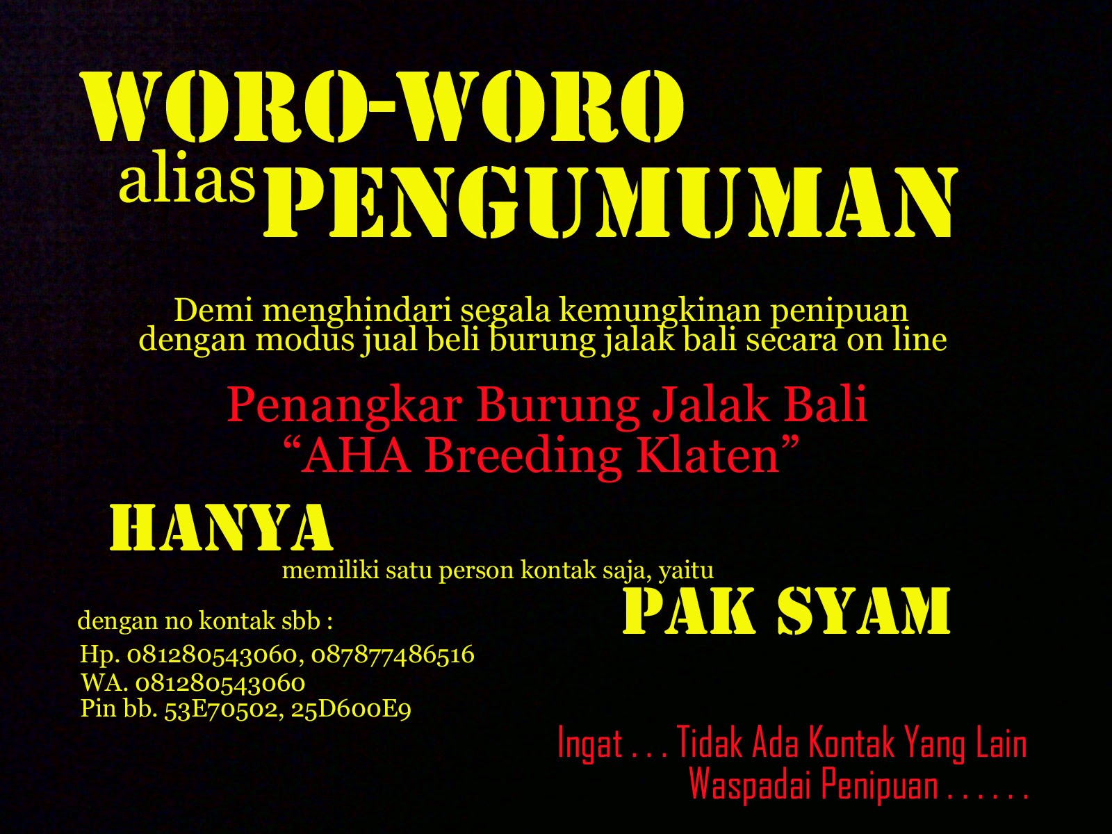 46++ Kata kata burung merpati kolong terbaru