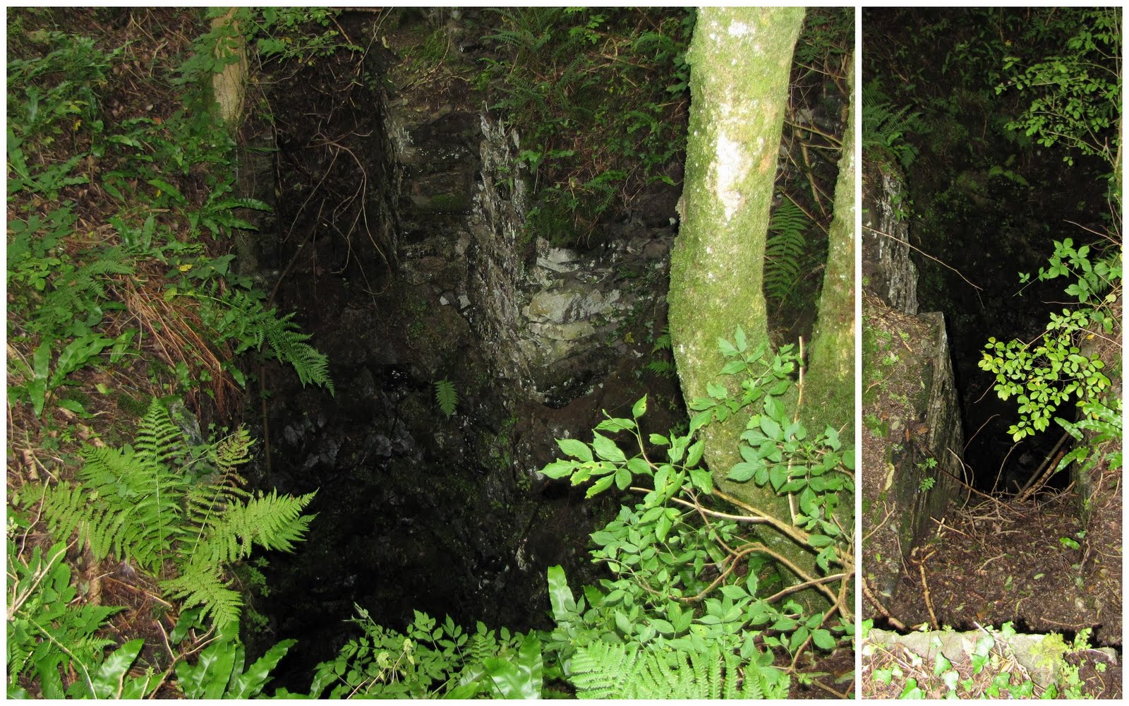 The Glebe Blog Pics from Blackcraig and Kirkandrewsan unsettled week